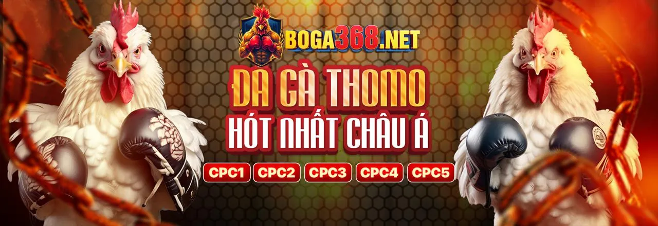Đấu Gà Trực Tuyến VN888 Code