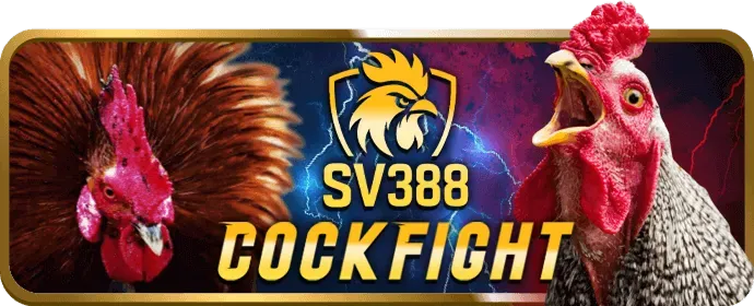 Biểu tượng bảo mật cao cấp trên nền tảng vn888 code, thể hiện sự an toàn tuyệt đối cho người dùng.